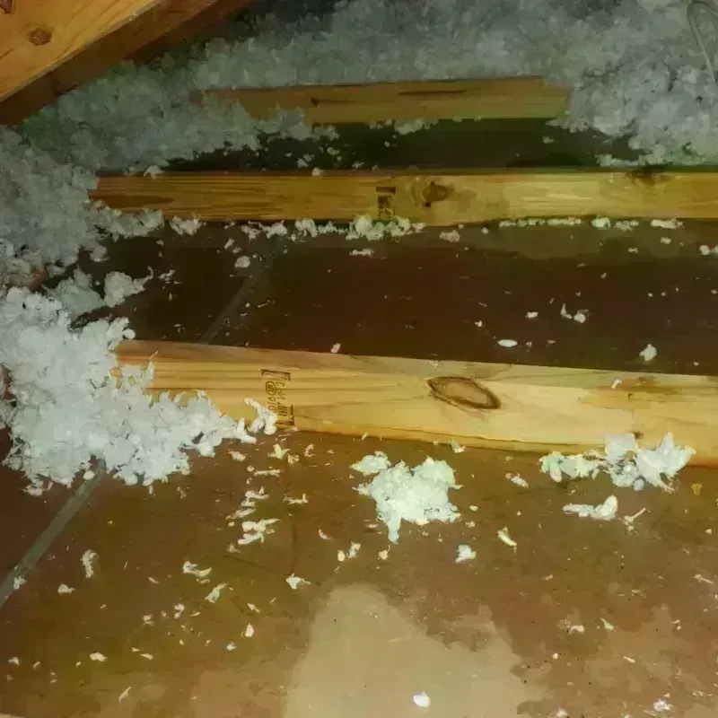 Attic Water Damage in Heyworth, IL